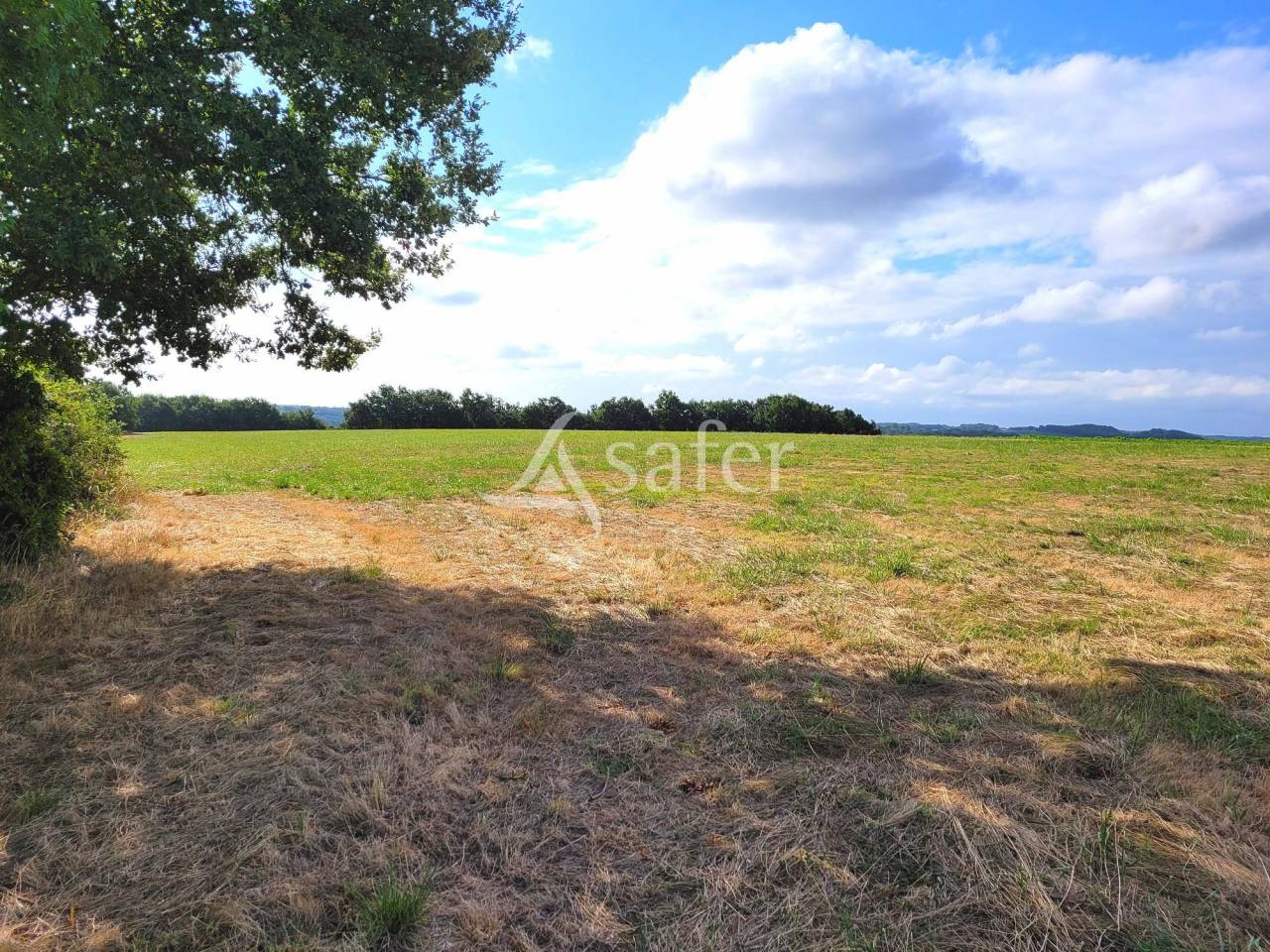 Hippisch vastgoed Koop Tarn-et-Garonne