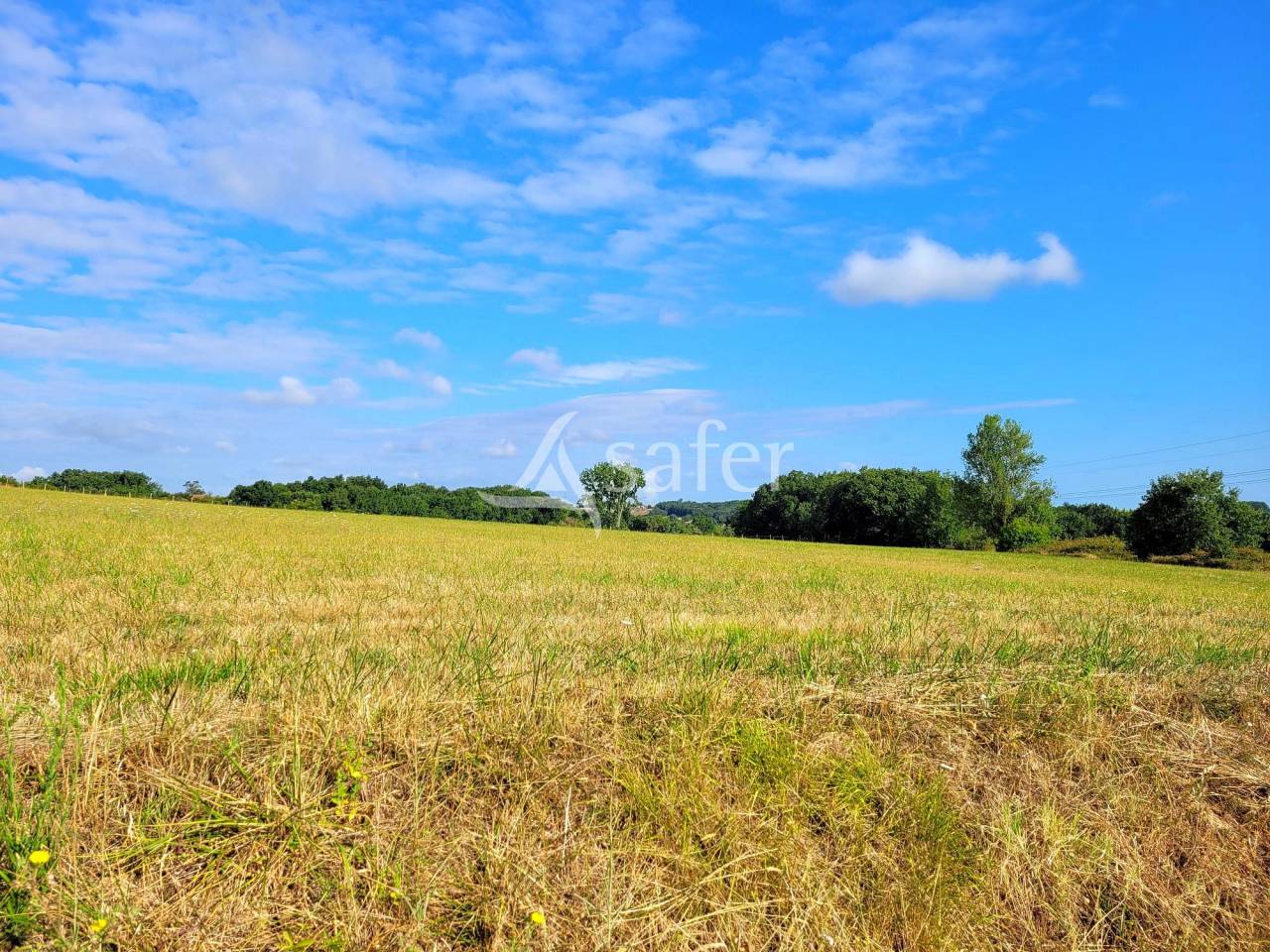Hippisch vastgoed Koop Tarn-et-Garonne