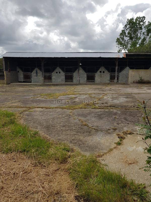 Hippisch vastgoed Koop Vendée