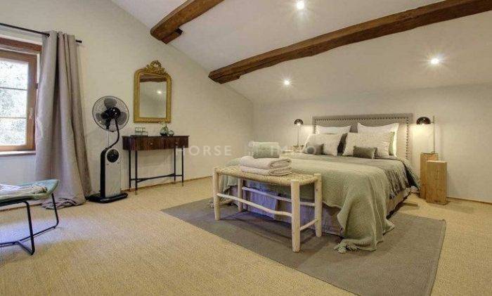 Hippisch vastgoed Koop Ain