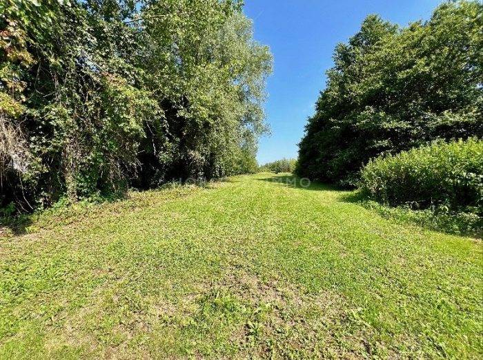 Hippisch vastgoed Koop Ain