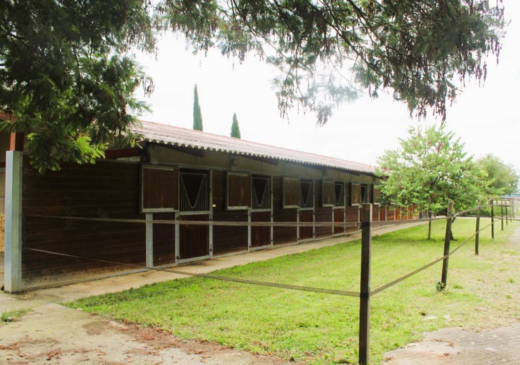 Hippisch vastgoed Koop Gers