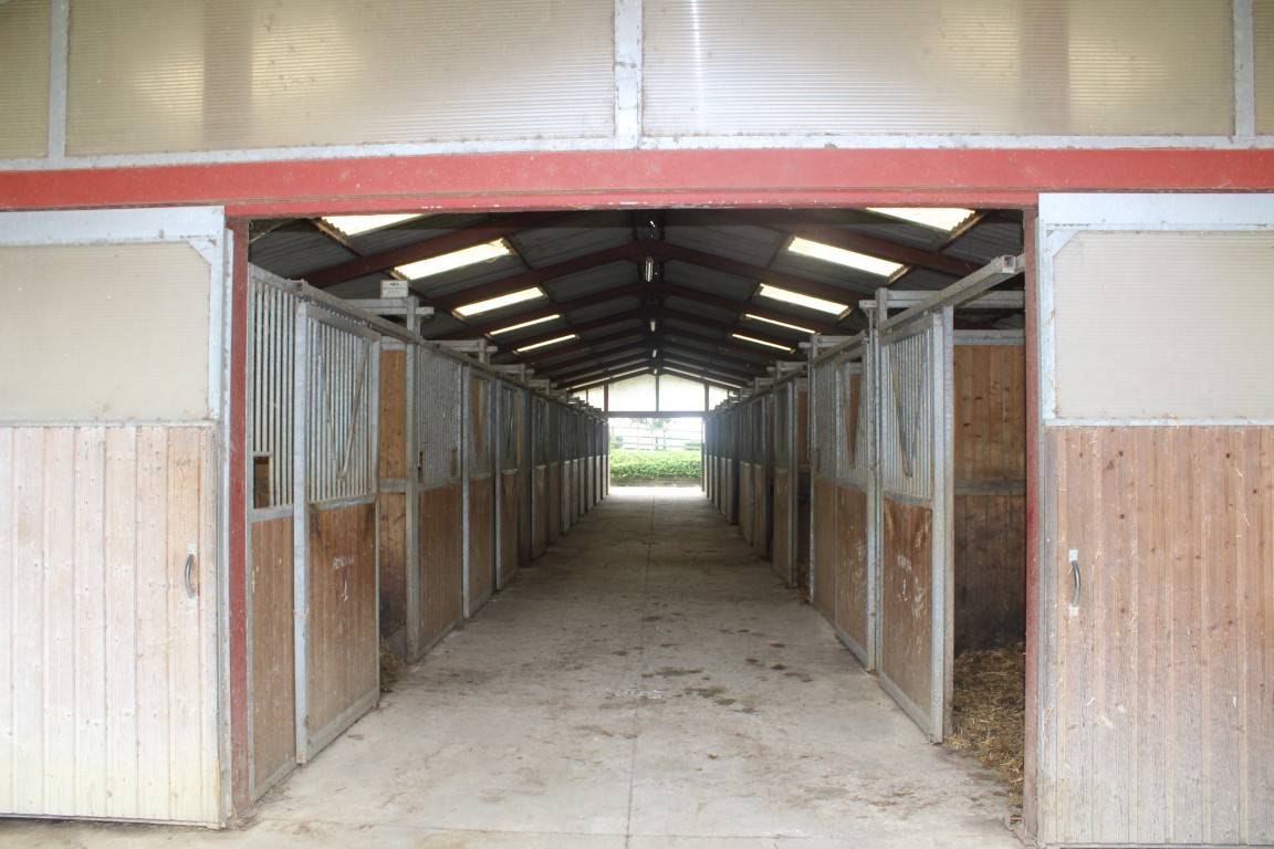 Hippisch vastgoed Koop Gers