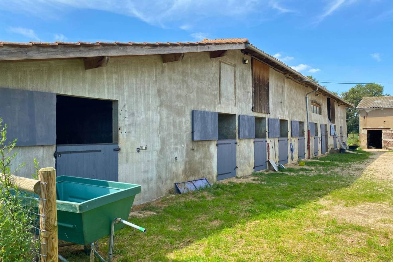 Hippisch vastgoed Koop Ain