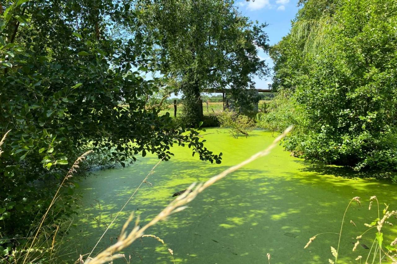 Hippisch vastgoed Koop Ain