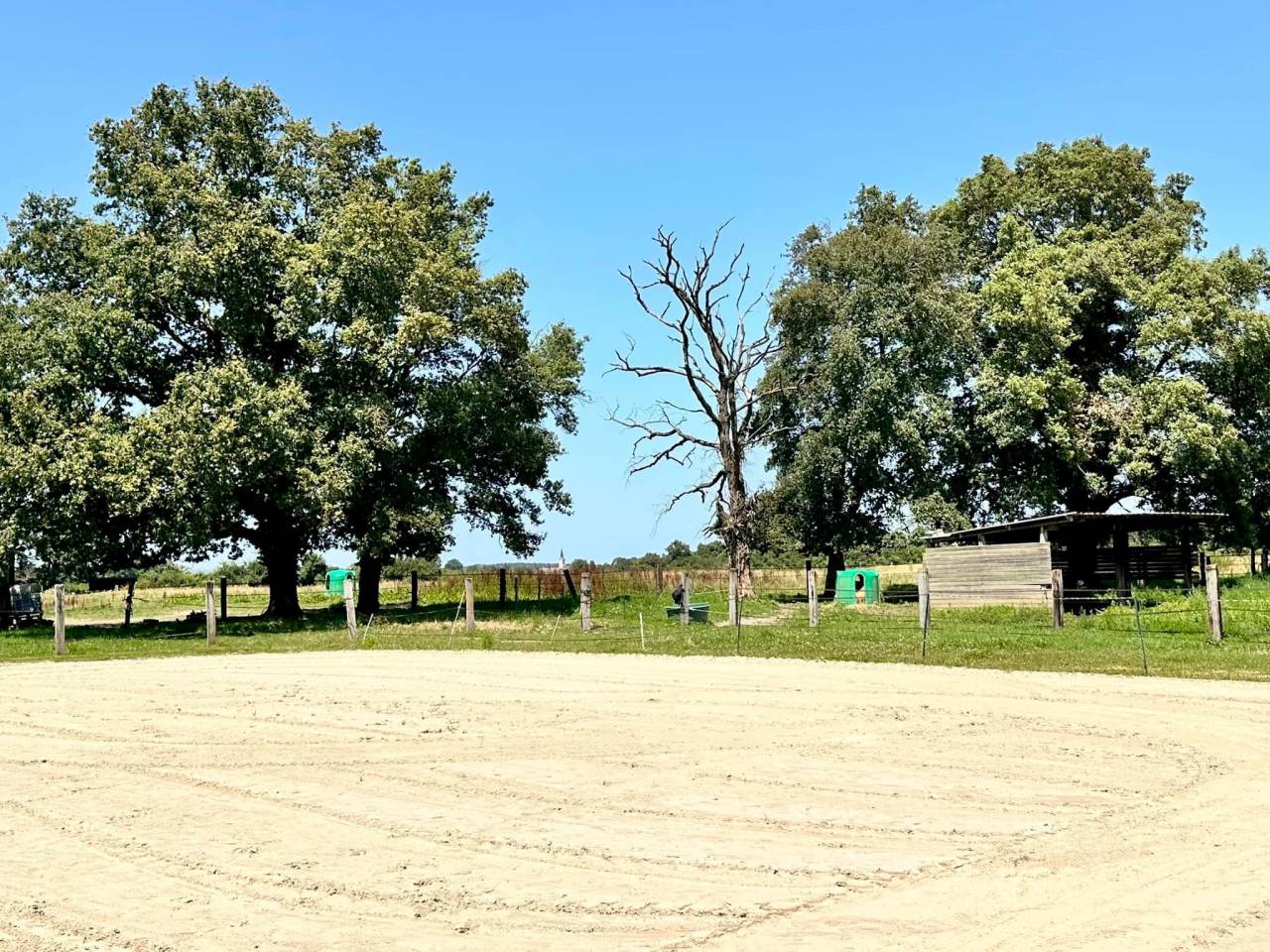 Hippisch vastgoed Koop Ain