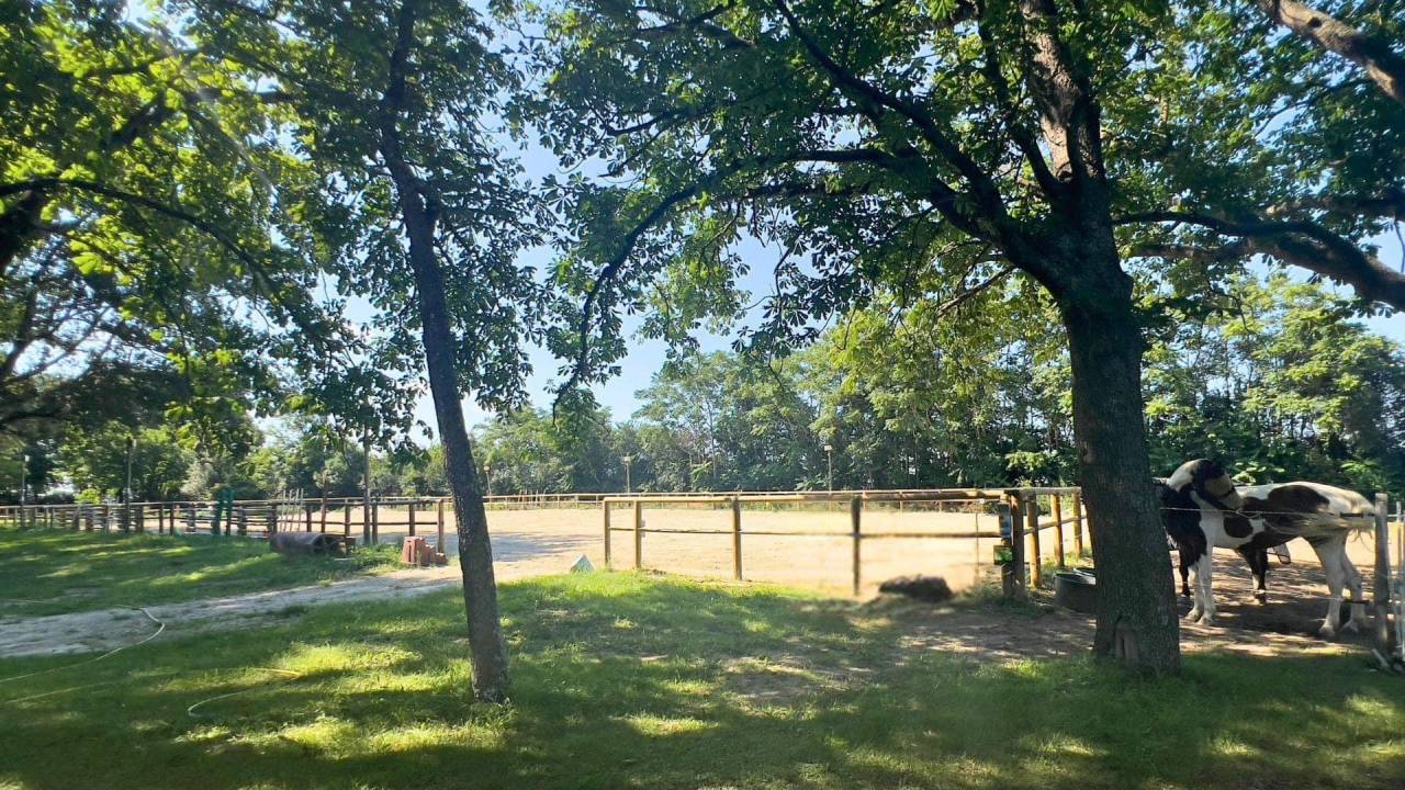 Hippisch vastgoed Koop Aude