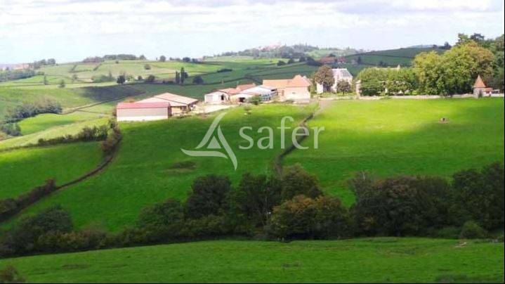 Schapen exploitatie Koop Saône-et-Loire