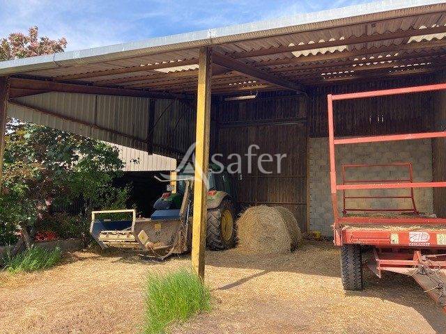 Schapen exploitatie Koop Saône-et-Loire