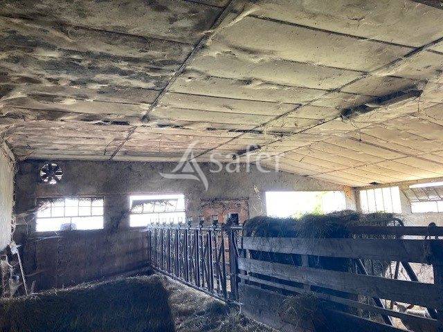 Schapen exploitatie Koop Saône-et-Loire