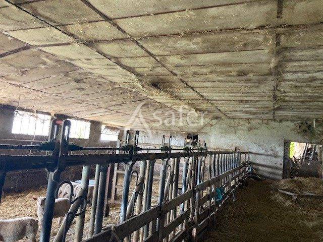 Schapen exploitatie Koop Saône-et-Loire