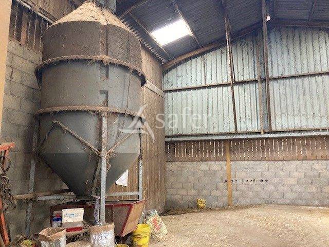 Schapen exploitatie Koop Saône-et-Loire