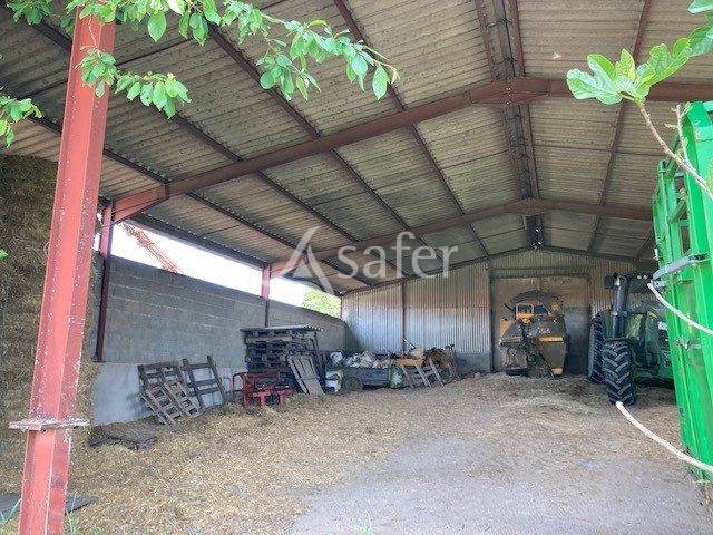 Schapen exploitatie Koop Saône-et-Loire