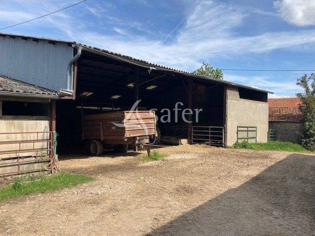 Schapen exploitatie Koop Saône-et-Loire