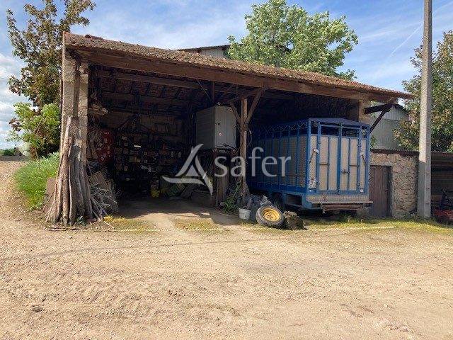 Schapen exploitatie Koop Saône-et-Loire