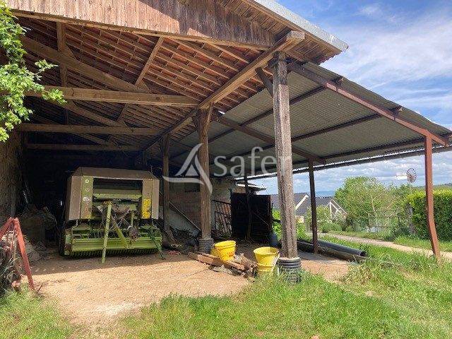 Schapen exploitatie Koop Saône-et-Loire