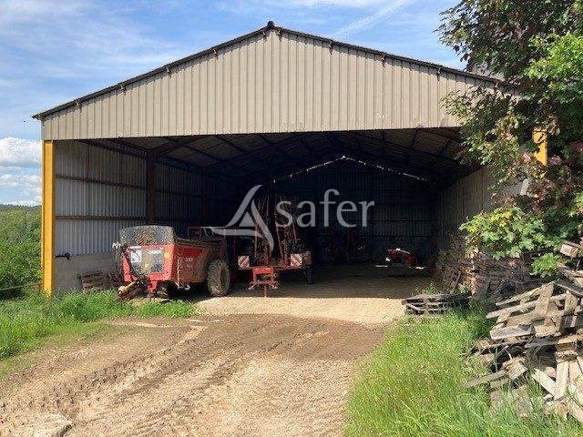 Schapen exploitatie Koop Saône-et-Loire