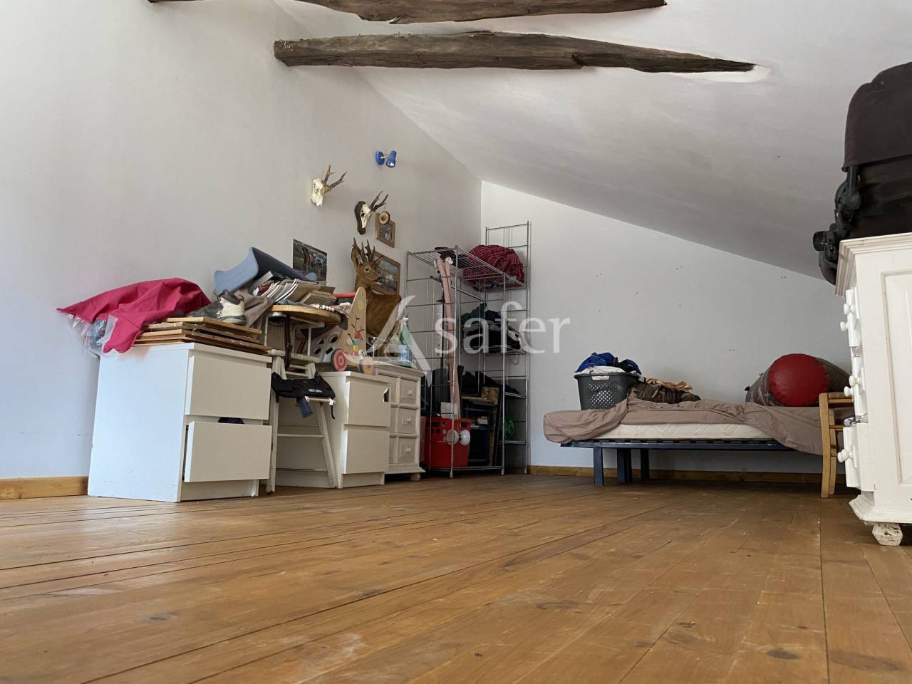 Hippisch vastgoed Koop Ain