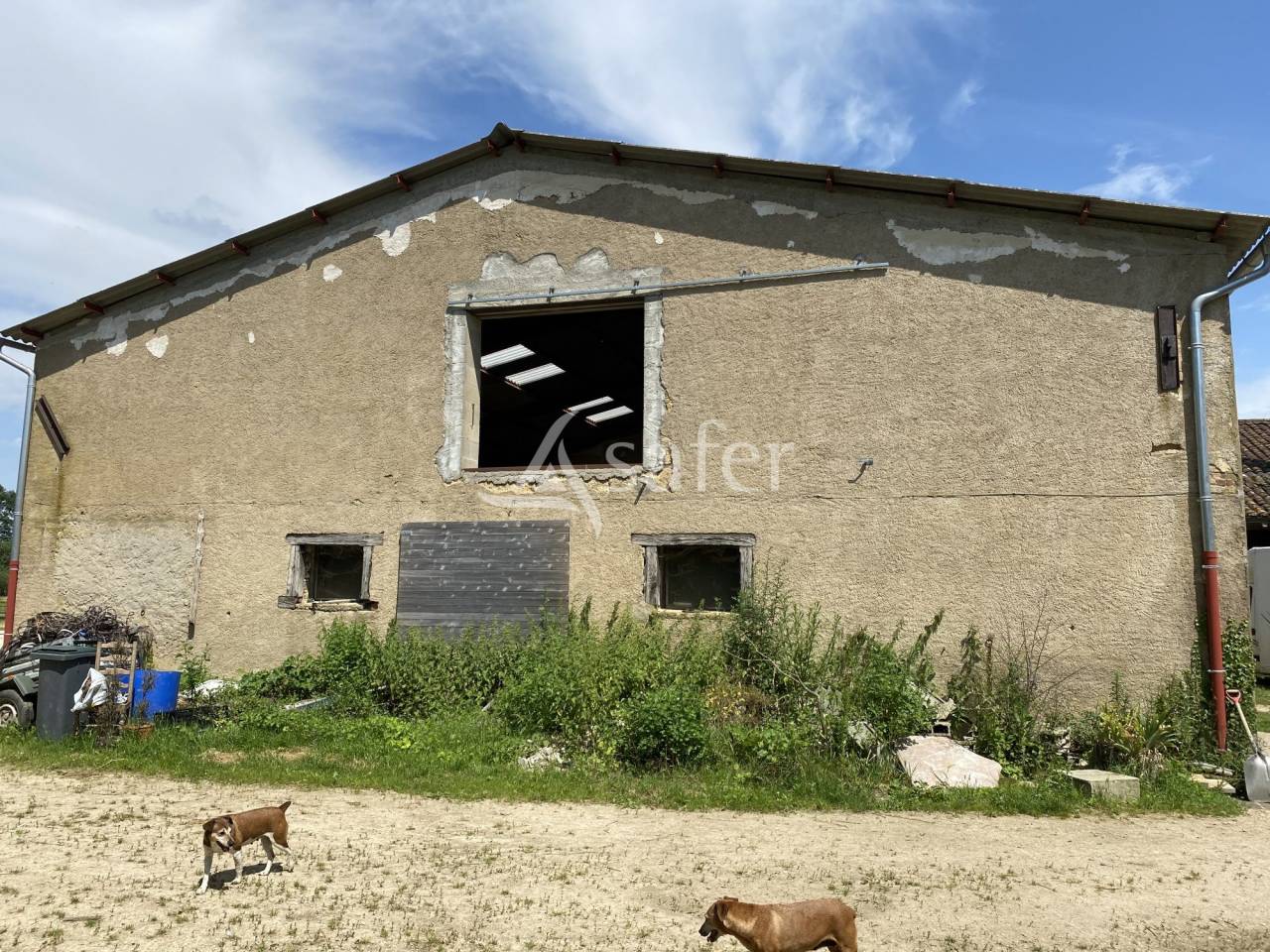 Hippisch vastgoed Koop Ain