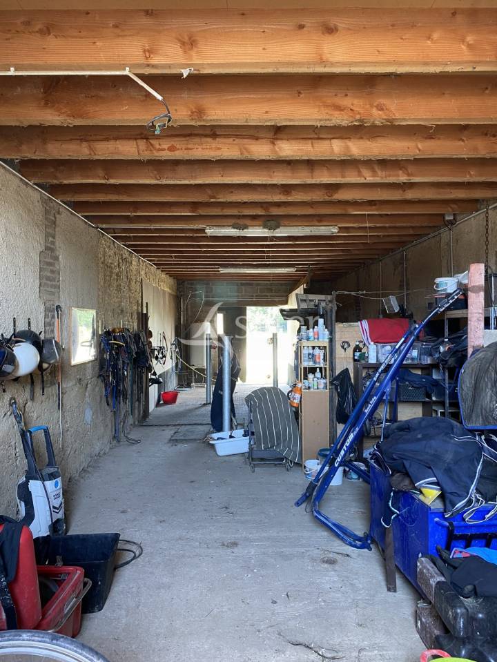 Hippisch vastgoed Koop Ain