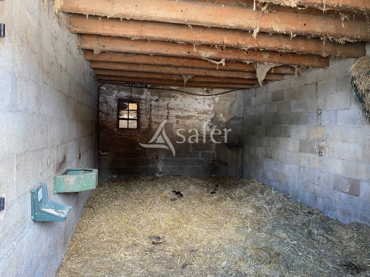 Hippisch vastgoed Koop Ain