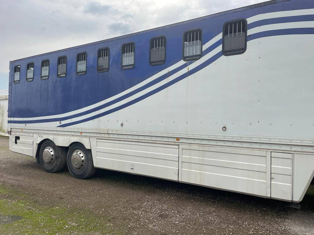 Zware paardenvrachtwagen (groot rijbewijs) Renault RENAULT 0 Tweedehands