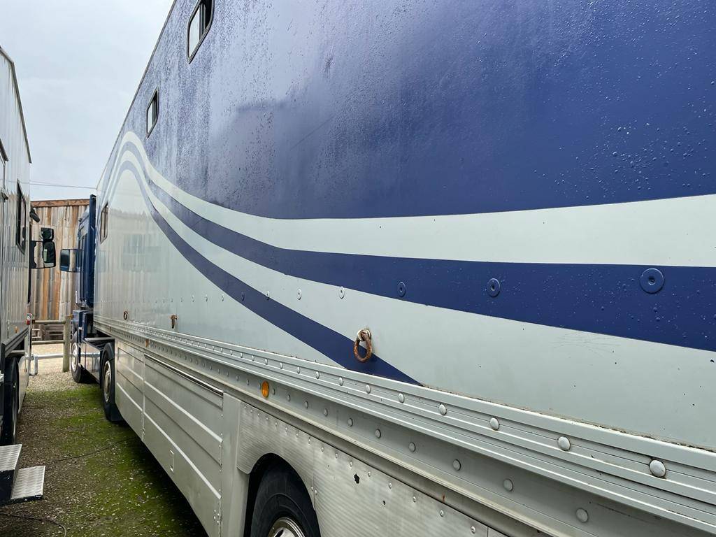 Zware paardenvrachtwagen (groot rijbewijs) Renault RENAULT 0 Tweedehands