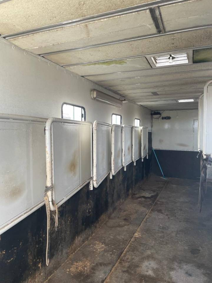 Zware paardenvrachtwagen (groot rijbewijs) Renault RENAULT 0 Tweedehands