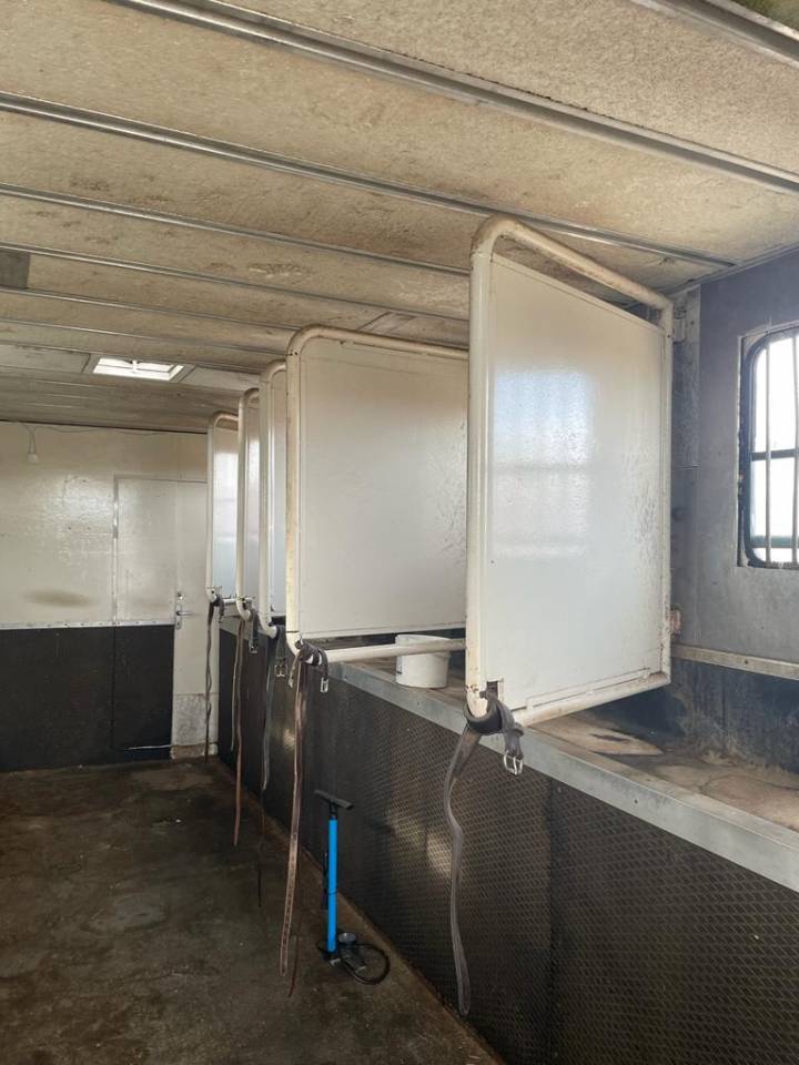 Zware paardenvrachtwagen (groot rijbewijs) Renault RENAULT 0 Tweedehands