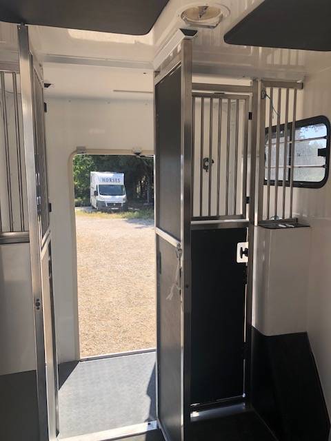 Kleine paardenvrachtwagen (B rijbewijs) Trans Box New Svelto 3 2024 Tweedehands