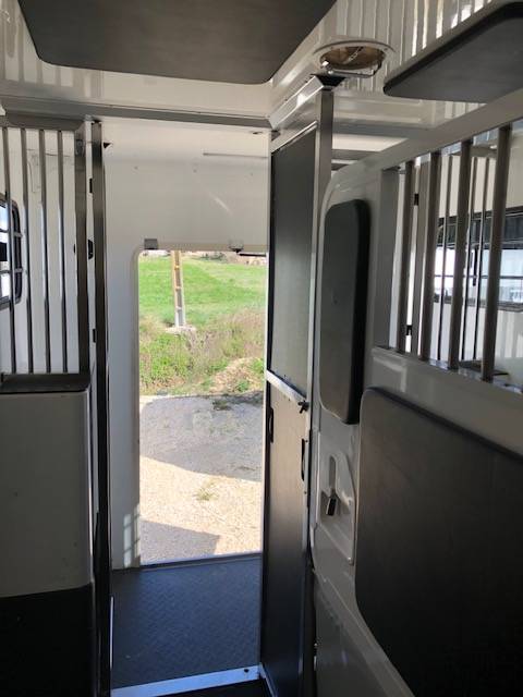 Kleine paardenvrachtwagen (B rijbewijs) Trans Box New Svelto 3 2024 Tweedehands