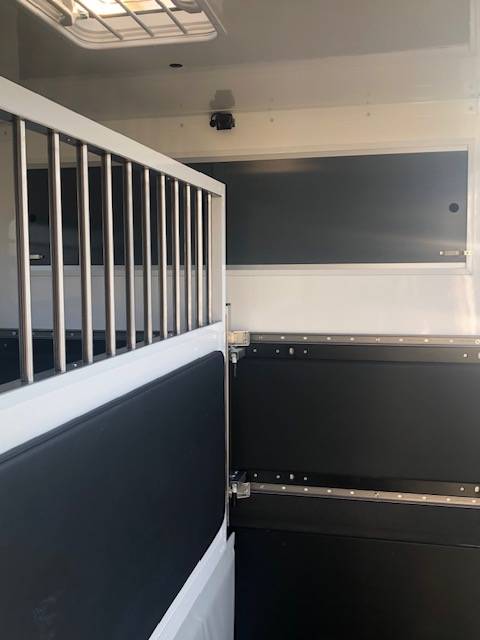 Kleine paardenvrachtwagen (B rijbewijs) Trans Box New Svelto 3 2024 Tweedehands