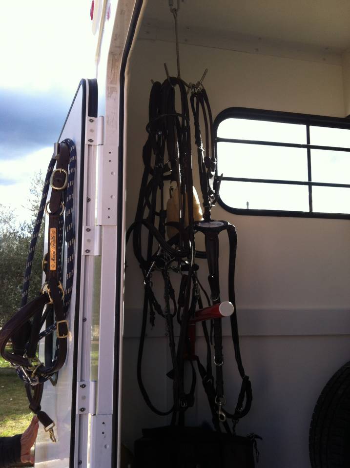 Kleine paardenvrachtwagen (B rijbewijs) Trans Box New Svelto 3 2024 Tweedehands