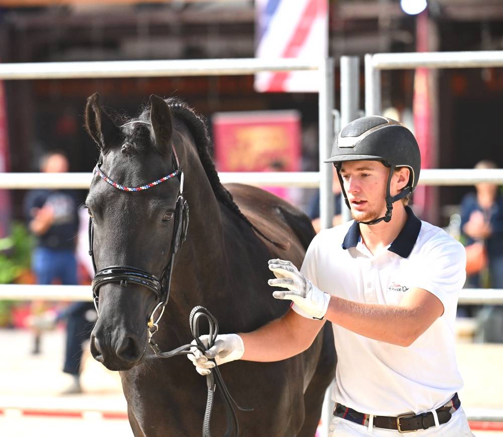 Veulen (vr) Fries Te koop 2022 Zwart ,  Elias 494