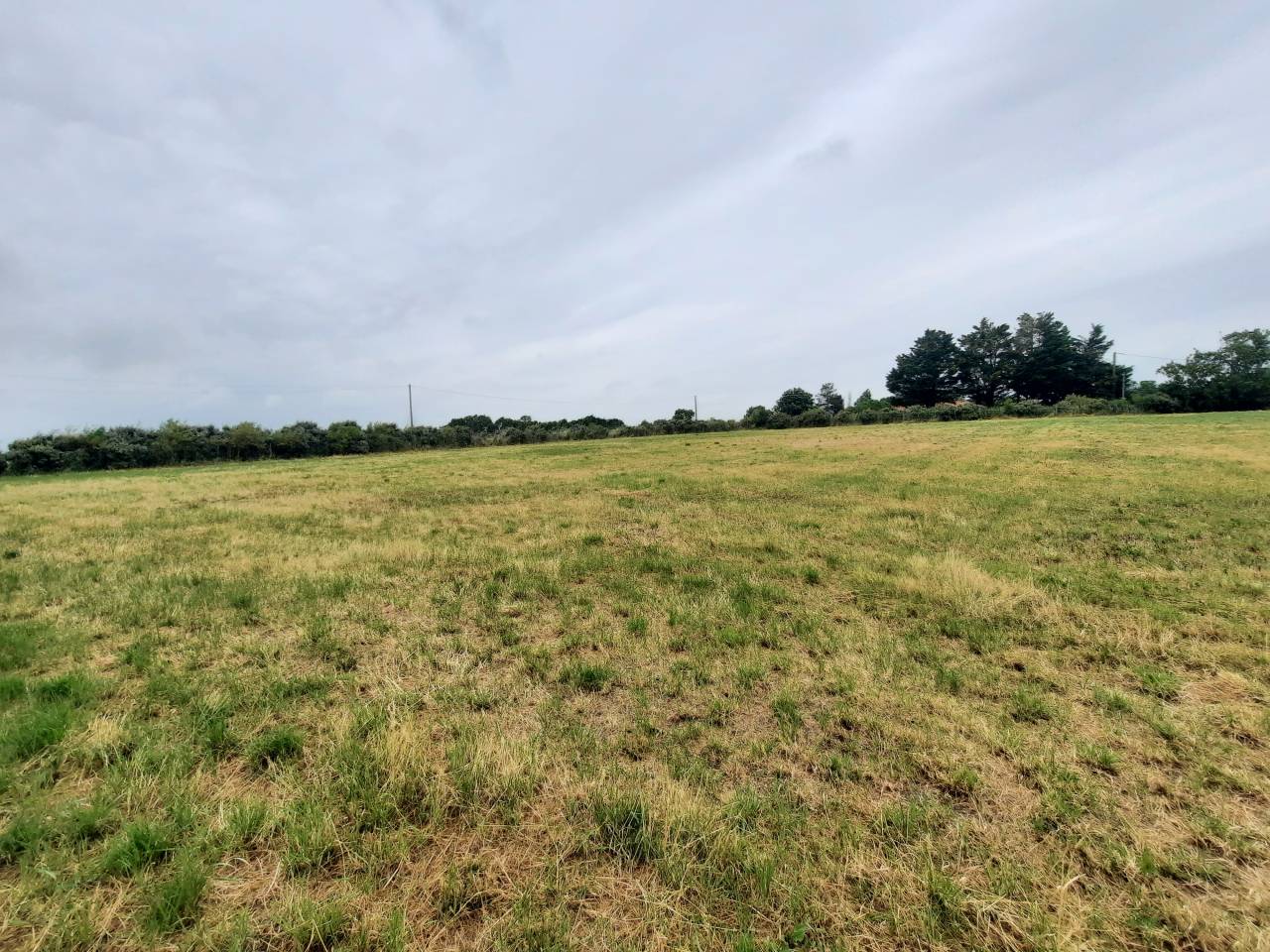 Hippisch vastgoed Koop Charente-Maritime