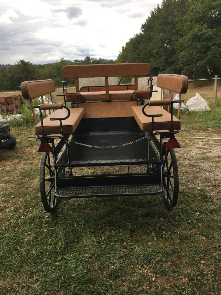 Rijtuigen - Cal&egrave;che - Ander merk - equitech 