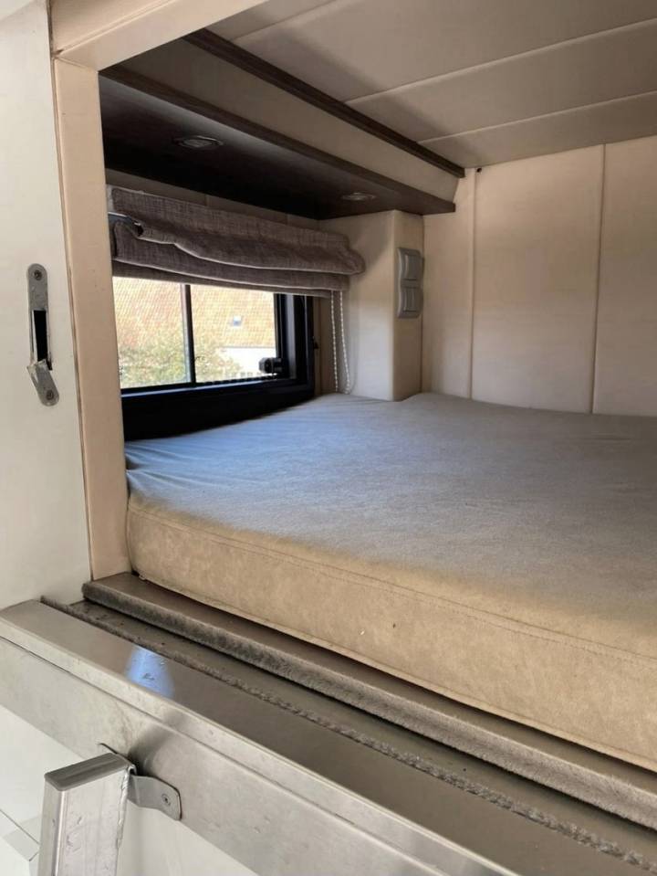 Zware paardenvrachtwagen (groot rijbewijs) Iveco IVECO 0 Tweedehands