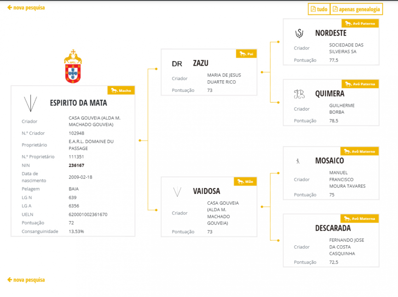 Dekhengst Lusitano Te koop 2009 Isabel