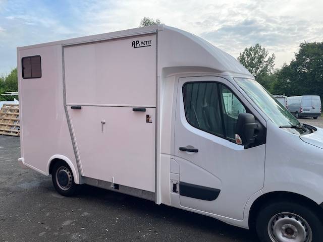 Kleine paardenvrachtwagen (B rijbewijs) AP Petit Renault MASTER L2 2020 Tweedehands