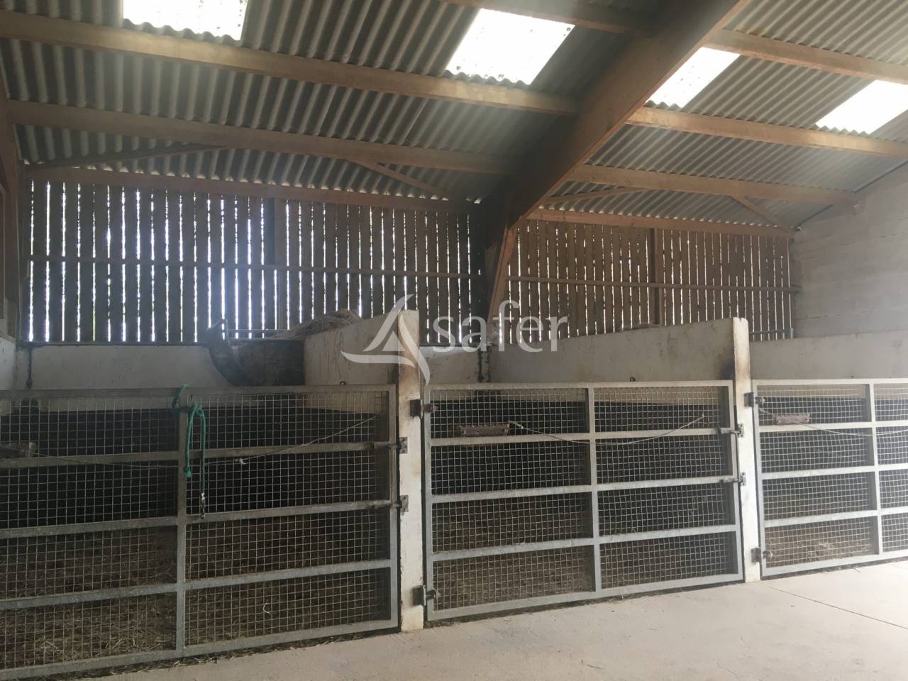 Hippisch vastgoed Koop Orne