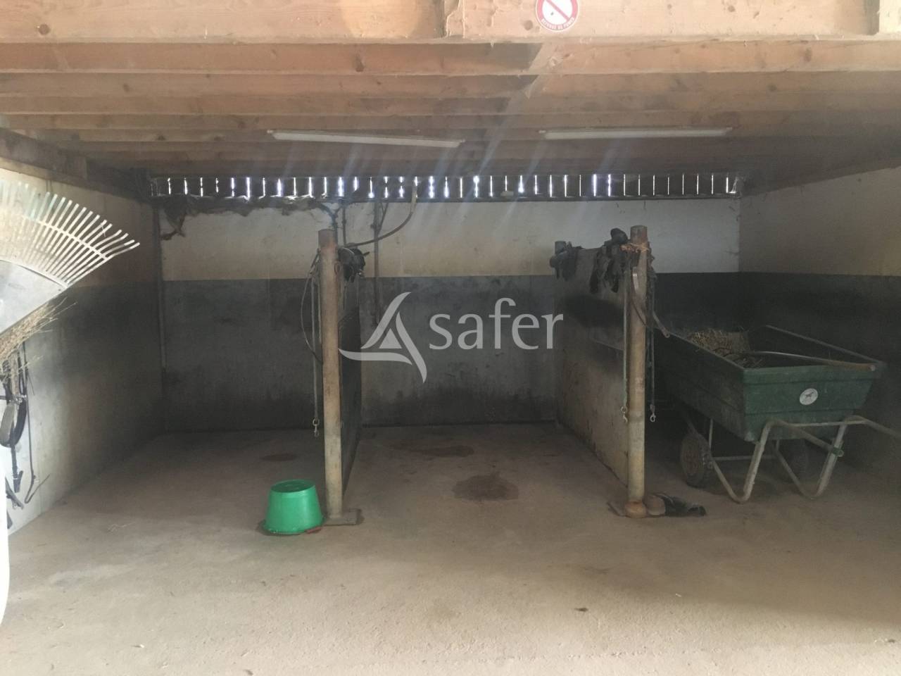 Hippisch vastgoed Koop Orne