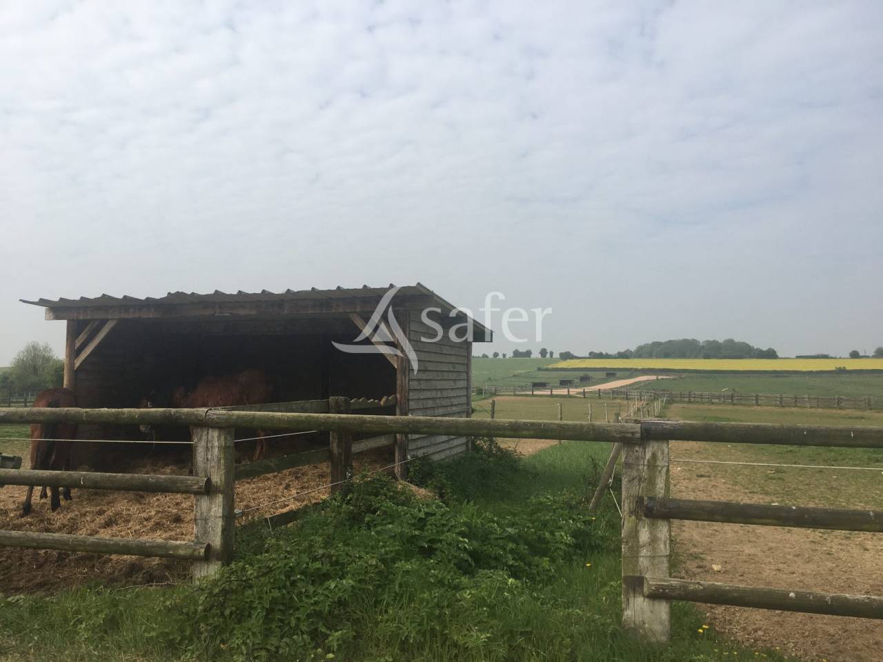 Hippisch vastgoed Koop Orne