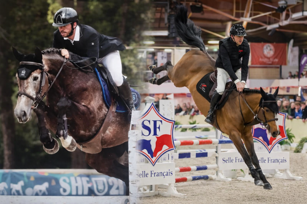 Merrie Selle Fran&ccedil;ais Delen 2011 Overige kleuren