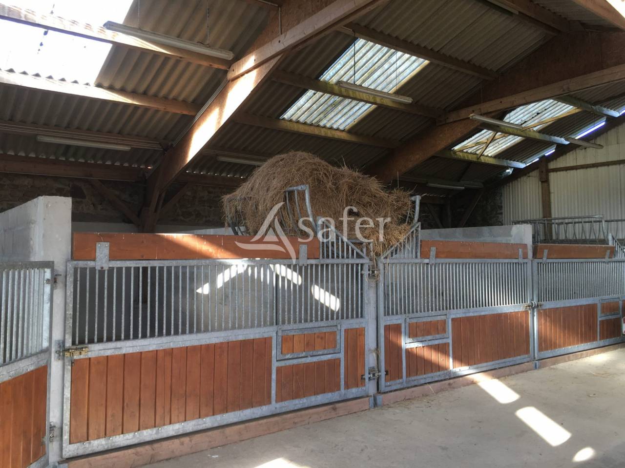 Bos exploitatie Koop Orne