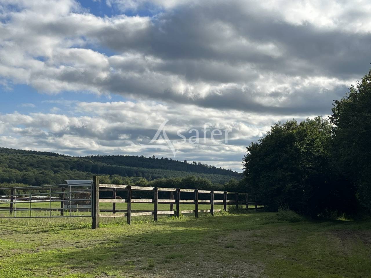 Bos exploitatie Koop Orne