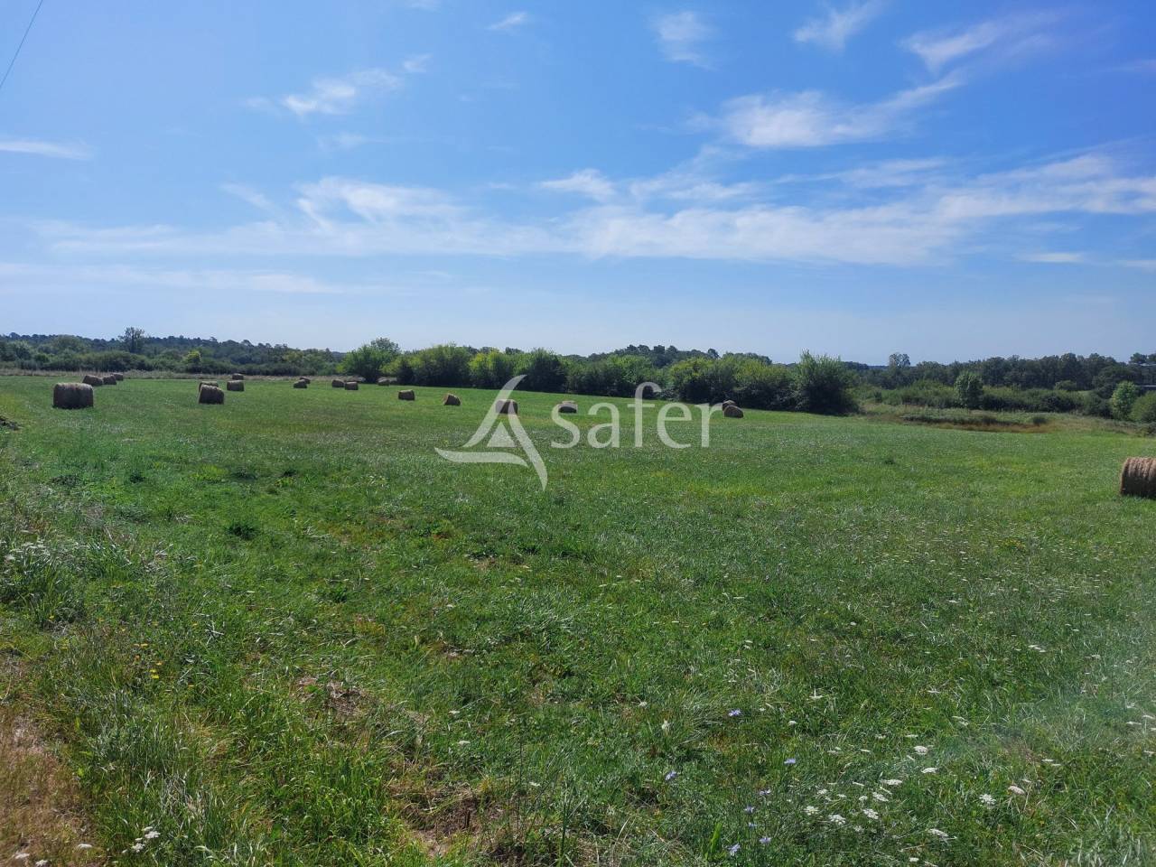 Landbouw bedrijf Koop Dordogne