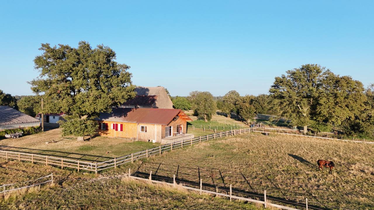 Stoeterij Koop Allier