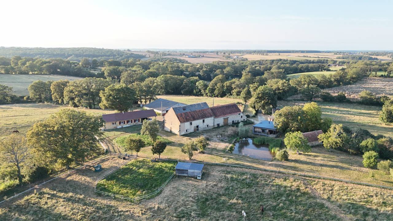 Stoeterij Koop Allier