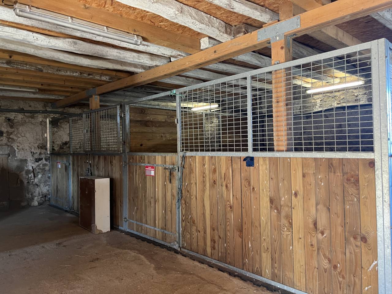 Stoeterij Koop Allier