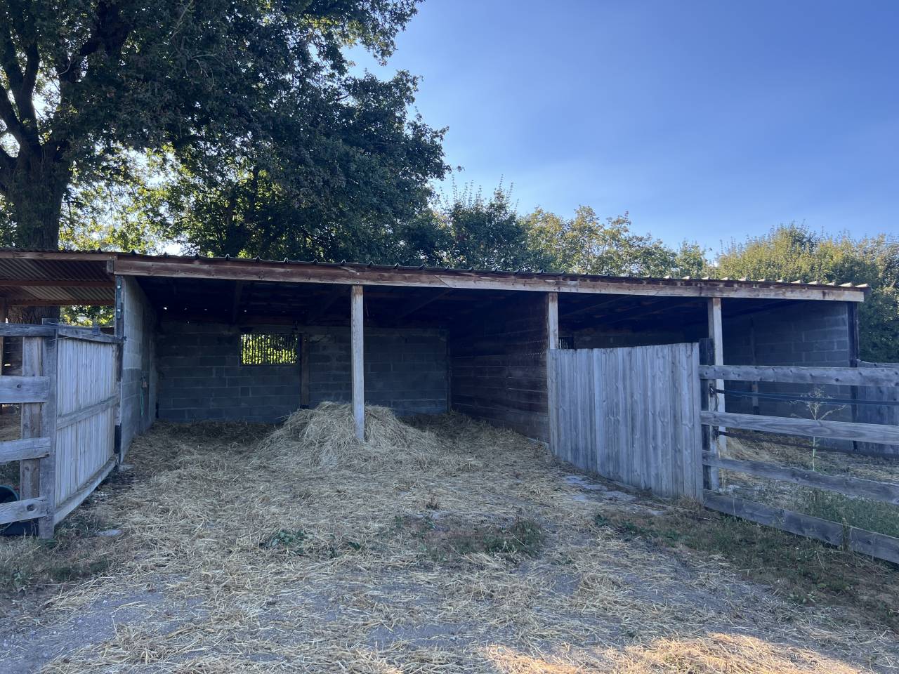 Stoeterij Koop Allier